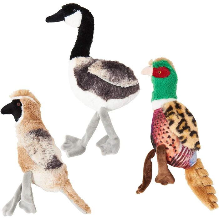 Spot Bird Calls Toy
