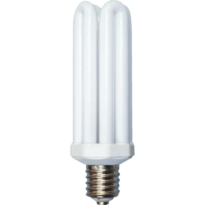 Woods 300W Equivalent Daylight Mogul Base 4U Security Fixture Replacement CFL Light Bulb