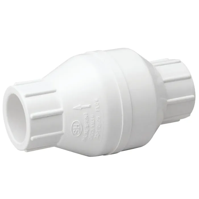 B & K ProLine Series 101-605 Check Valve, 1 in, 200 psi Pressure, PVC Body
