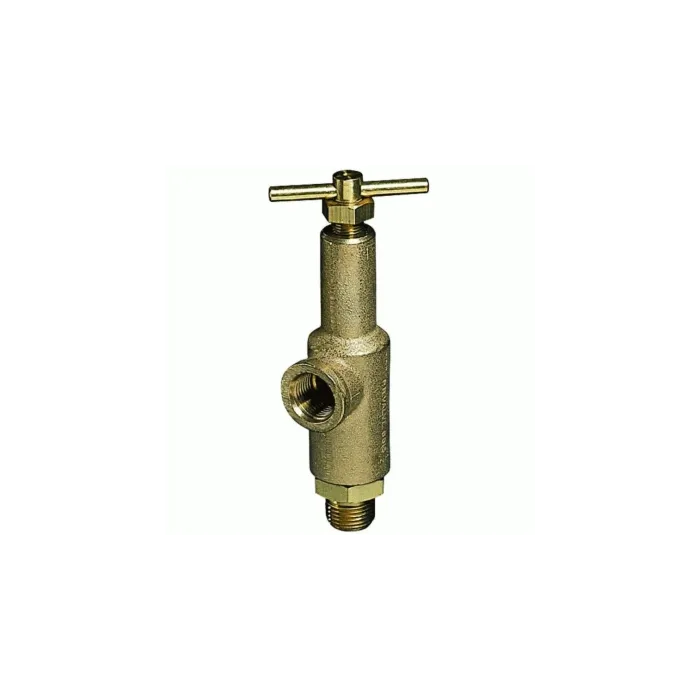 TeeJet 1/2 in MNPT Connection Type 1200 psi Pressure Relief Valve
