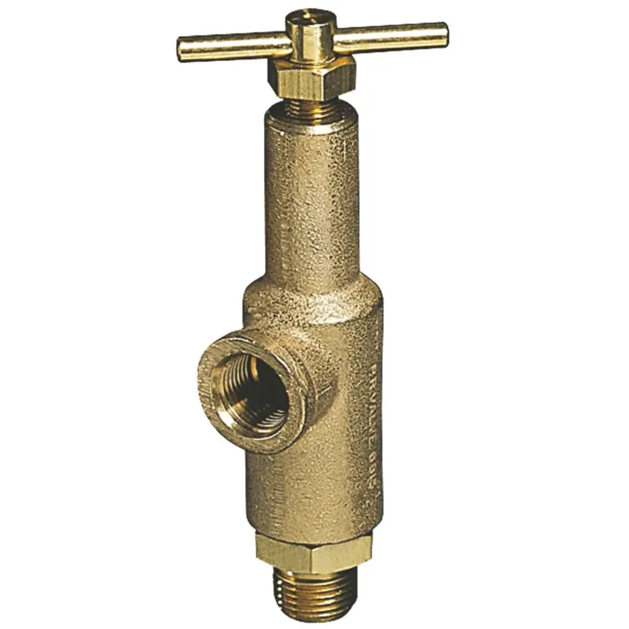 TeeJet 3/4 in MNPT Connection Type 300 - 700 psi Pressure Relief Valve