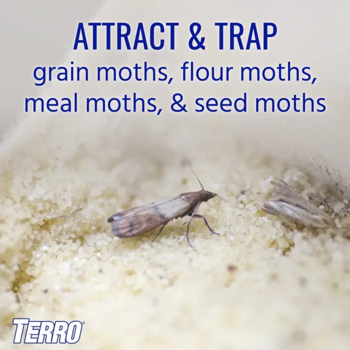 Terro TERRO 2-Pack Pantry Moth Traps