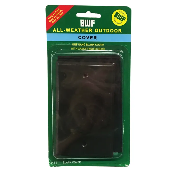 Brnz Blank Cover 2X4 2-Screw W/P