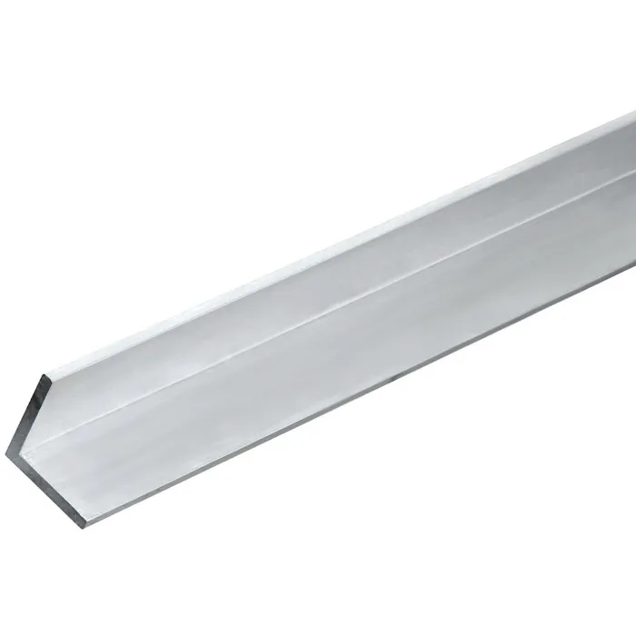 Angle 1" x 1/8" 4' Stainless Stl