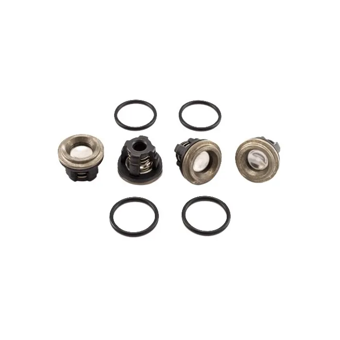 Valve Kit (D30)