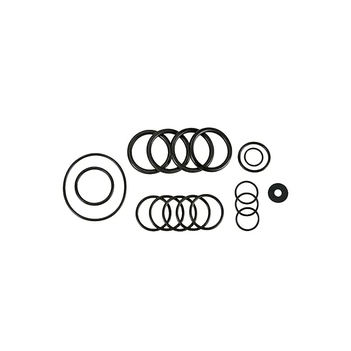 AR D-135 Diaphragm Pumps O-Ring Kit