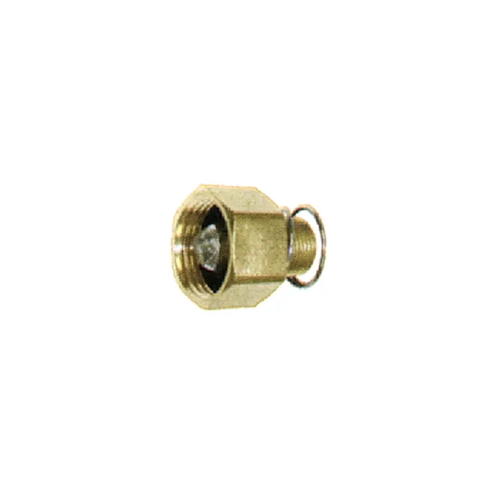 . 3/4 in Pressure Washer Pump Inlet