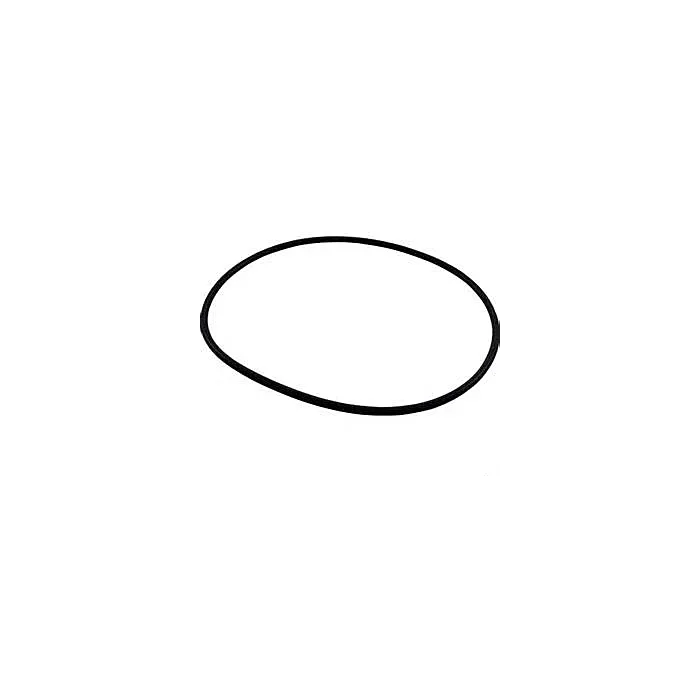 ACE PUMPS Volute O-Ring