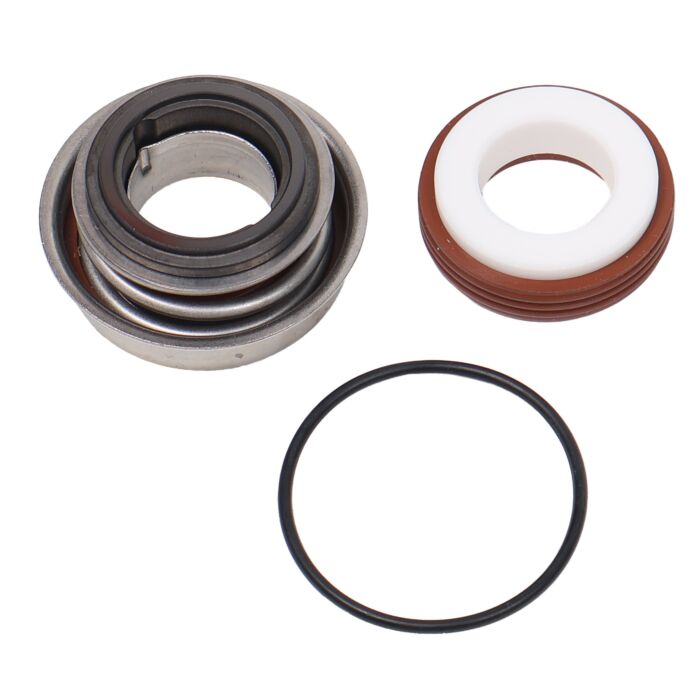 ACE PUMPS Viton Pump Shaft Seal