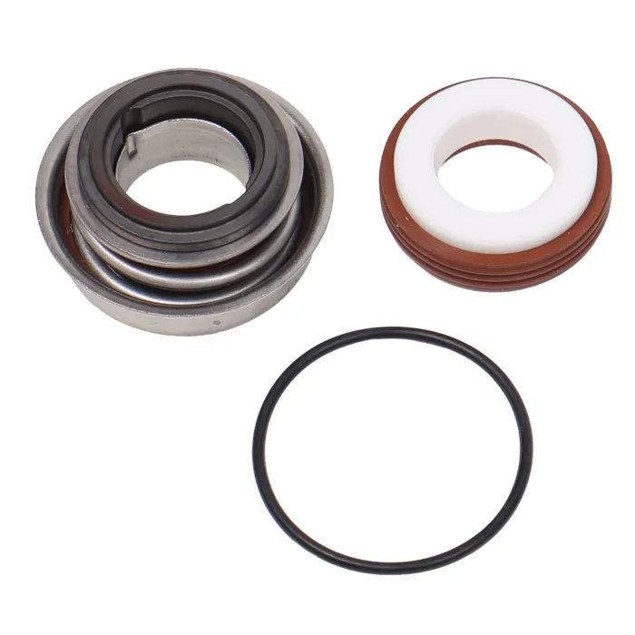 ACE PUMPS Viton Pump Shaft Seal