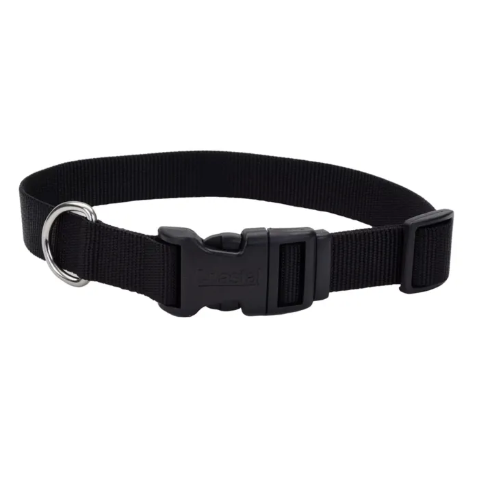 Coastal Pet Medium 14-20 in 3/4 in Adjustable Dog Collar