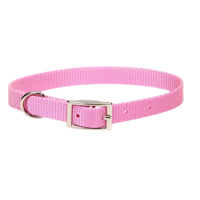 Coastal Single-Ply Dog Collar (Bright Pink) XS