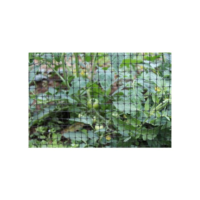 3T Products 3 ft 330 ft Poly Small Bird Netting
