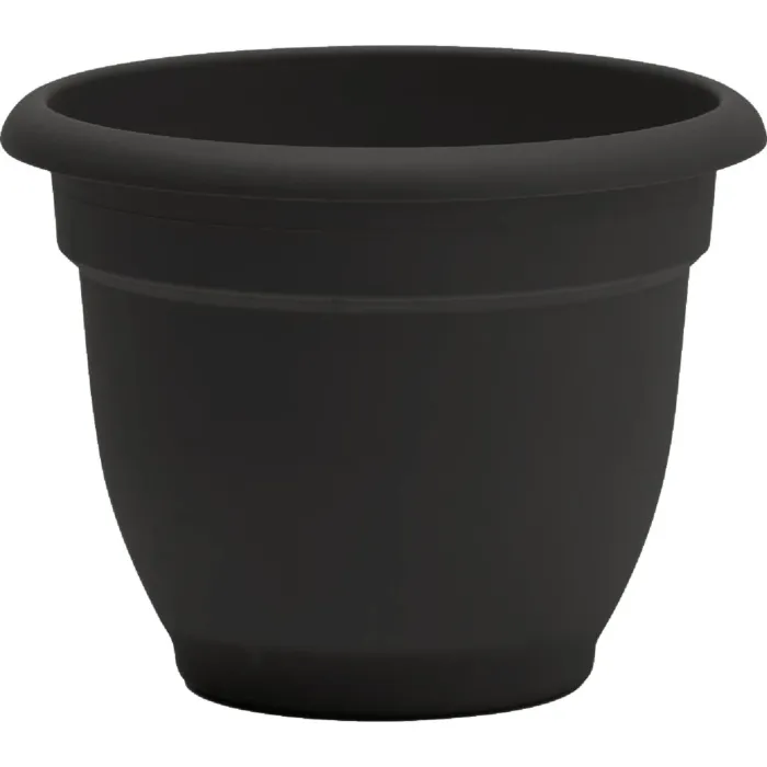 Bloem Ariana Self-Watering Plastic Planter (Black) 10 in.