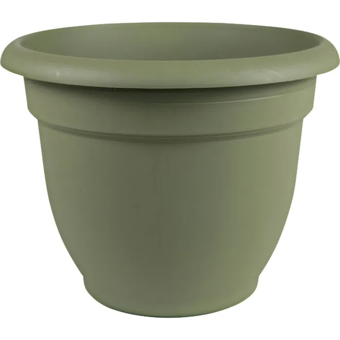 Bloem Ariana Self-Watering Plastic Planter (Thyme Green) 10 in.