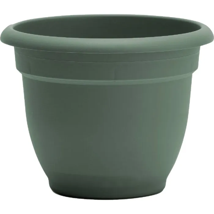 Bloem Ariana Self-Watering Plastic Planter (Basil Green) 6 in.