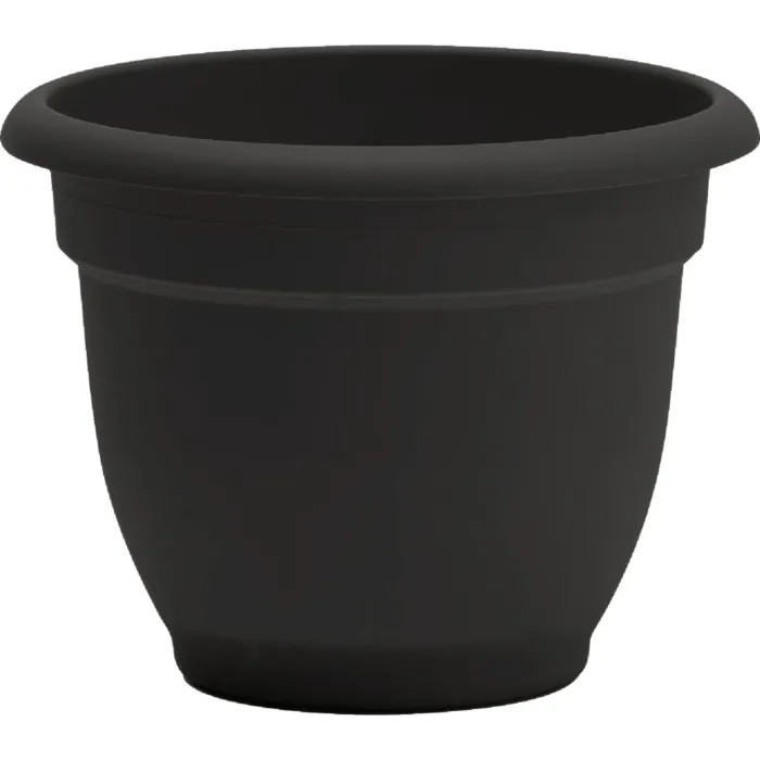 Bloem Ariana Self-Watering Plastic Planter (Black) 6 in.