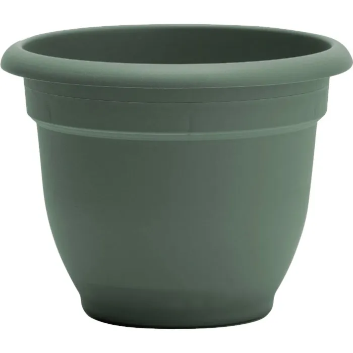 Bloem Ariana Self-Watering Plastic Planter (Basil Green) 8 in.