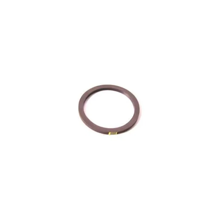Chapin Chemical-Resistant Fluoroelastomer Replacement Pump Gasket Repair Kit