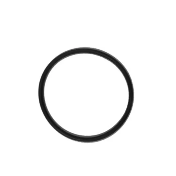 Chapin 1949 Sprayer O-Ring Repair Kit