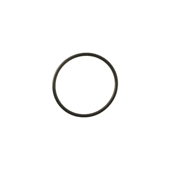 TeeJet EPDM Strainer Bowl Gasket for AA122