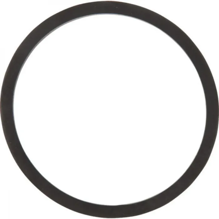 TeeJet Viton Strainer Bowl Gasket for AA122