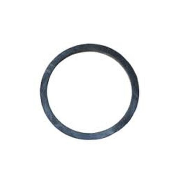 TeeJet EPDM Purple AA124 Strainer Viton O-Ring