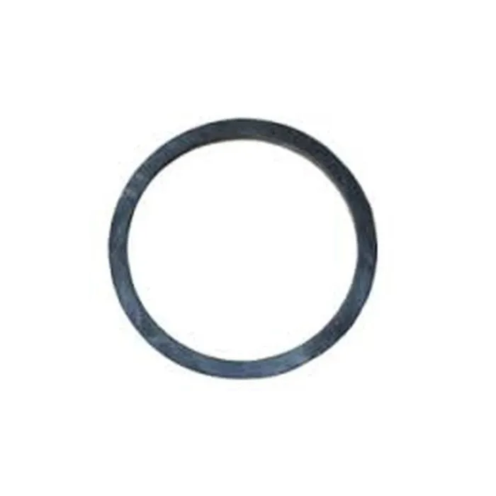 TeeJet EPDM Purple AA124 Strainer Viton O-Ring