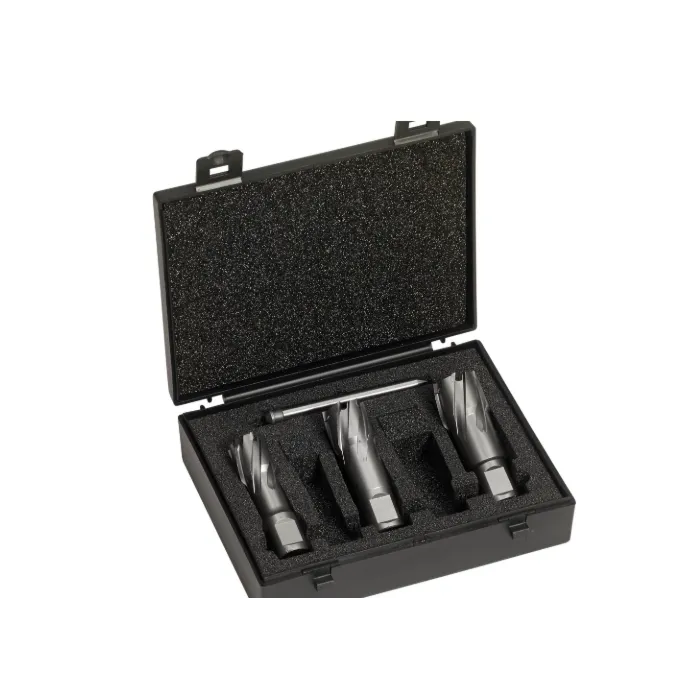 Champion Cutting Tools Carbide-Tipped Annular Cutter Set 1-3/8 in.