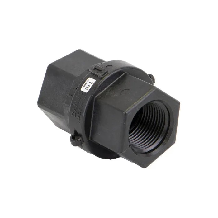 BANJO® 1 in MNPT x FNPT Polypropylene Check Valve