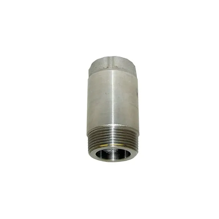 Merrill 1 x 1-1/4 in MNPT x FNPT 200 psi Check Valve