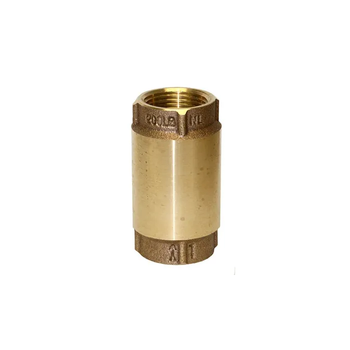 Merrill 2 in FNPT 200 psi Check Valve