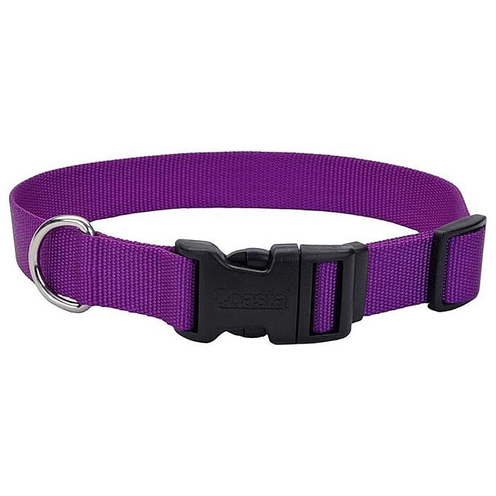 Coastal Pet Dog Collar 1"x18-26" Purple