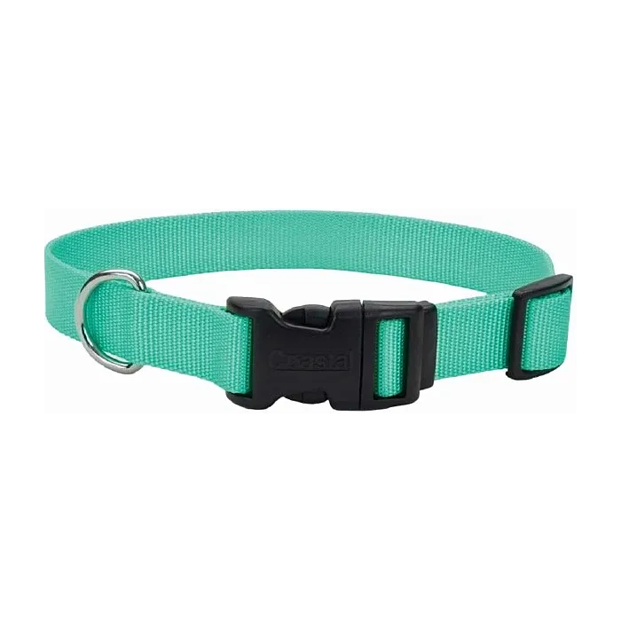 Coastal Pet Dog Collar 3/8"x 8-12" Teal
