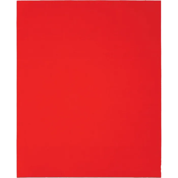 Diablo 9 In. x 11 In. 100-Grit (Medium) Single Sanding Sheet