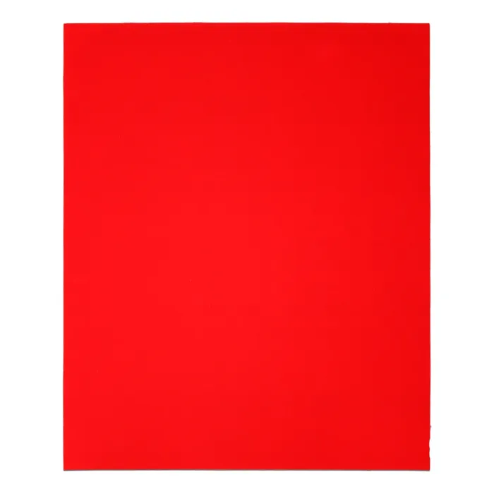 Diablo Tools 9 in. x 11 in. Sanding Sheets 100 Grit (4-Pack)