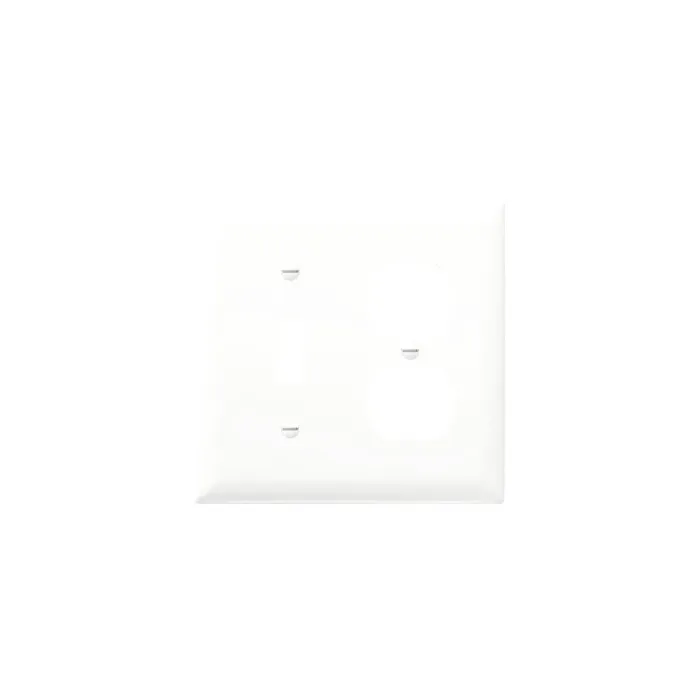 Pass & Seymour TradeMaster 2-Gang Nylon Toggle/Duplex Opening Wall Plate (White)