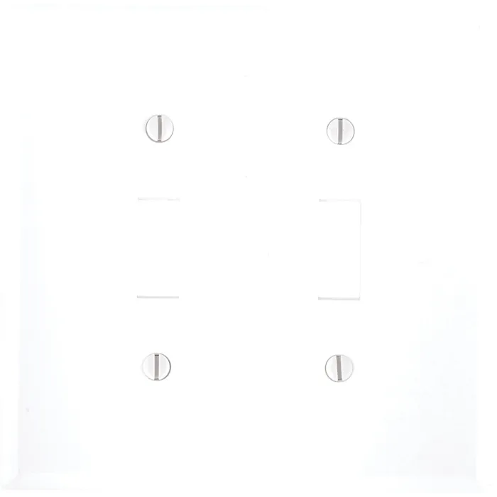 Pass & Seymour TradeMaster Jumbo 2-Gang Nylon 2-Toggle Wall Plate (White)