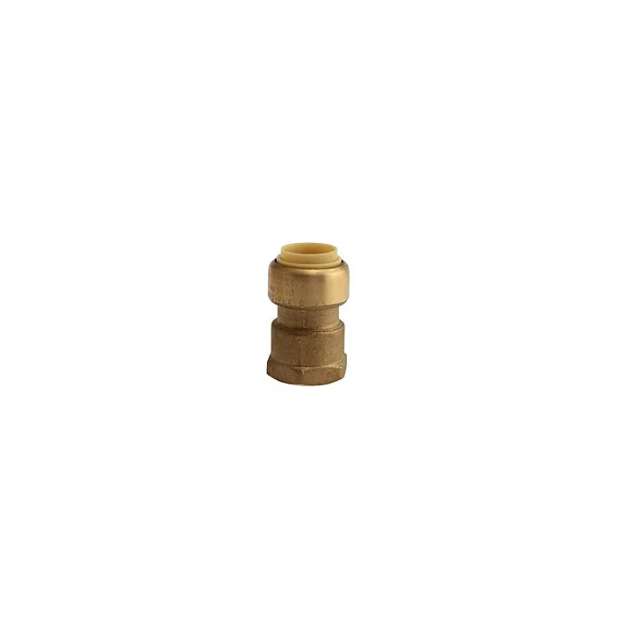 Boshart Industries NO LEAD 1"PF x 1"FPT ADAPTER