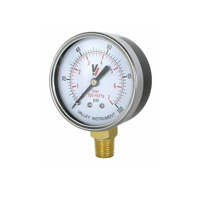 Valley Industries 2 in 0 - 30 psi 1/4 in MNPT Dual Scale Pressure Gauge