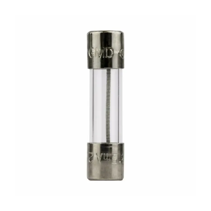 Bussmann 10 A Glass Tube Electronic Fuse (2-Pack)