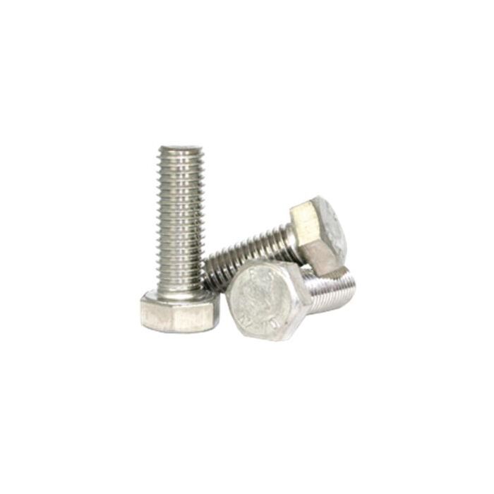 Brighton-Best Hex Cap SS Screw - M12-1.75 x 80mm
