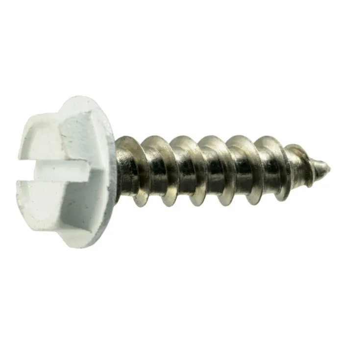 #10 x 3/4" Slotted Hex Washer Head, Sheet Metal Screw, Stainless Steel, White 