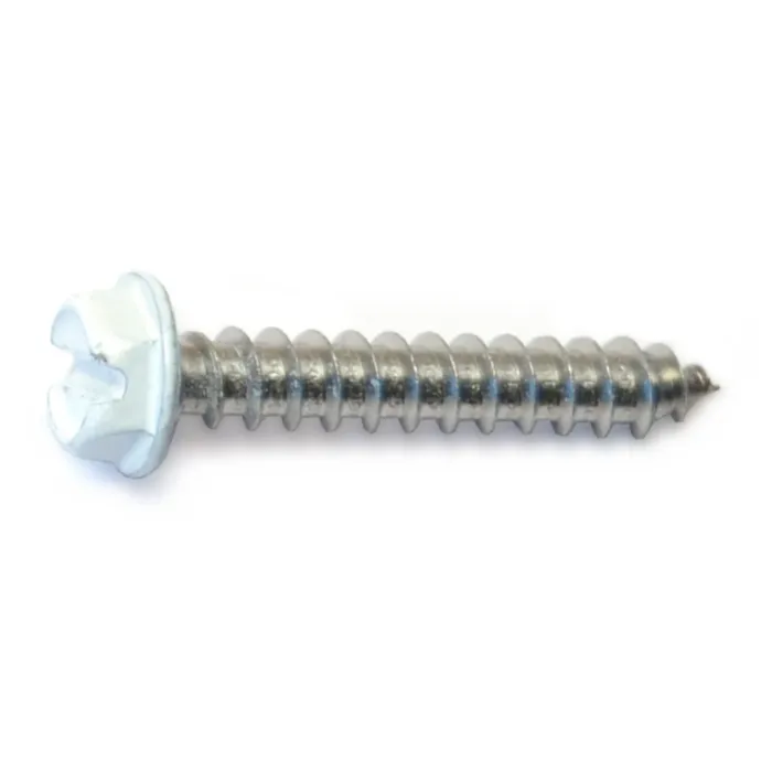 #8 x 1" Slotted Hex Washer Head, Sheet Metal Screw, Stainless Steel, White 