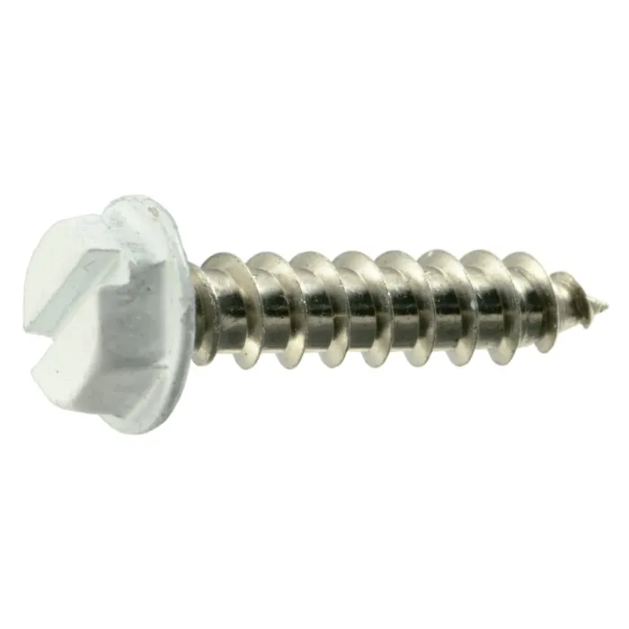 #8 x 3/4" Slotted Hex Washer Head, Sheet Metal Screw, Stainless Steel, White 