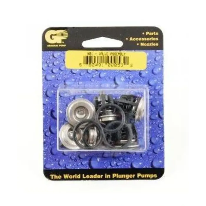 General Pump Company TSF2021 TSF2221 TSF2421 Pumps Valve Kit