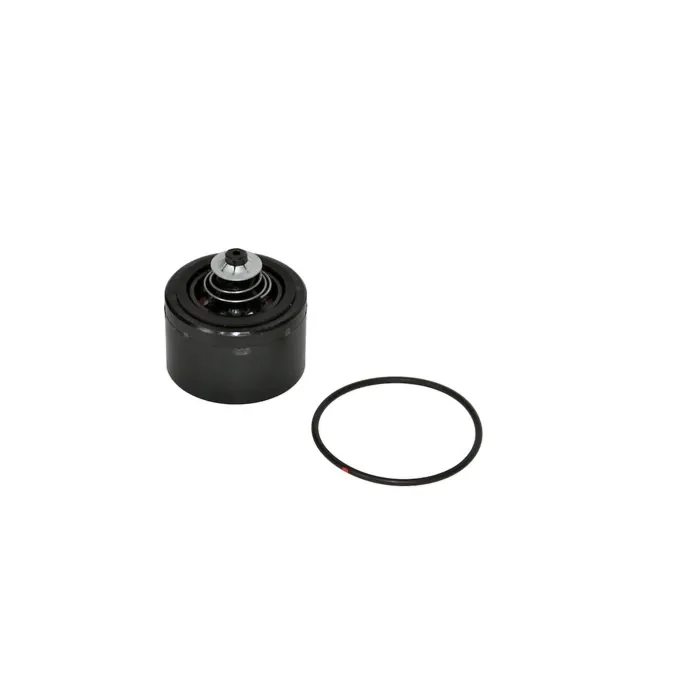 Fill-Rite FR700 Series Pumps Check Valve Kit