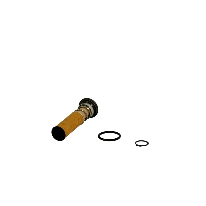 Fill-Rite FR300 and FR700 Series Pumps Shaft seal Kit