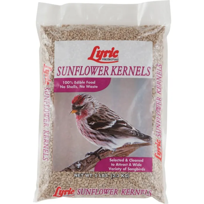 Lyric Sunflower Bird Seed - 5 lb