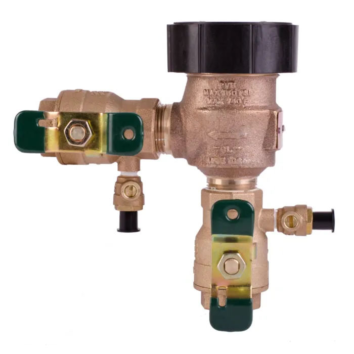 Watts 1 In Lead Free Anti-Siphon Pressure Vacuum Breaker Backflow Preventer, Quarter Turn Shutoff, Tee Handles
